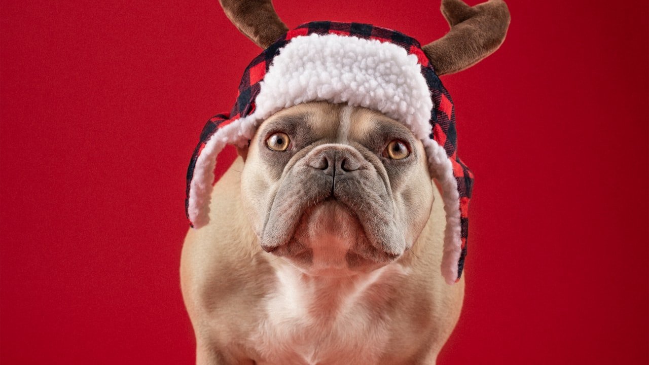 Always In Style: Fedora Hats