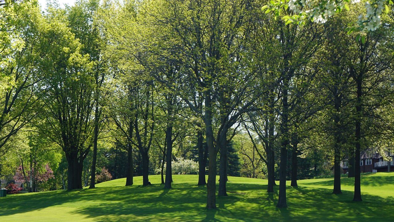 How Wi-Fi Instant Photo Printers Work?